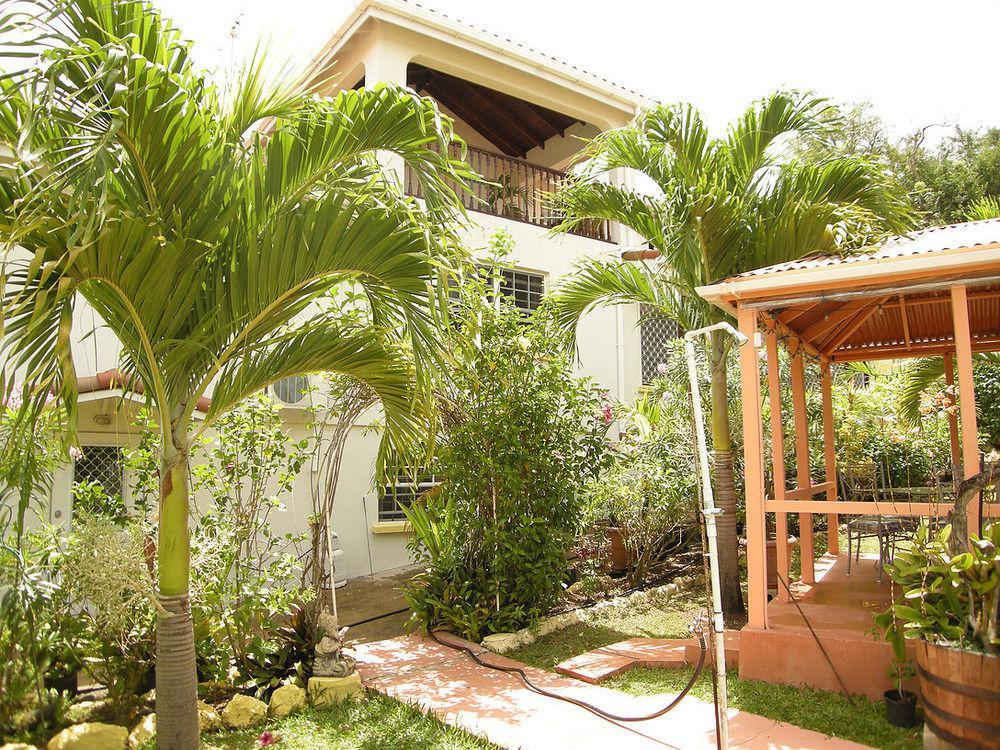 Palm Paradise Guest House And Apartments BARBADOS Eksteriør billede